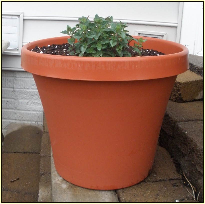 Cheap Plant Pots