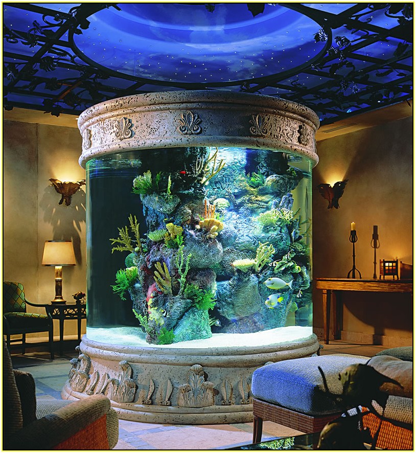 Coolest Fish Tanks
