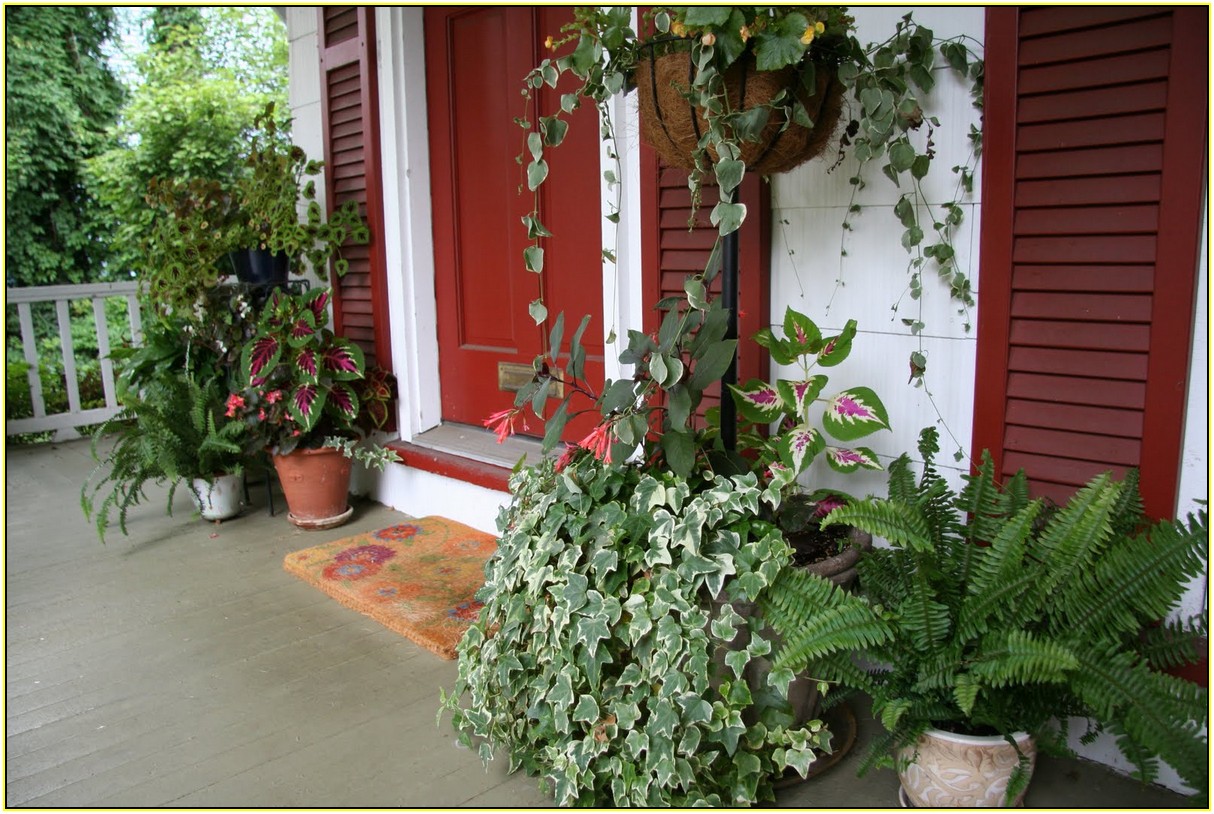 Front Porch Planters