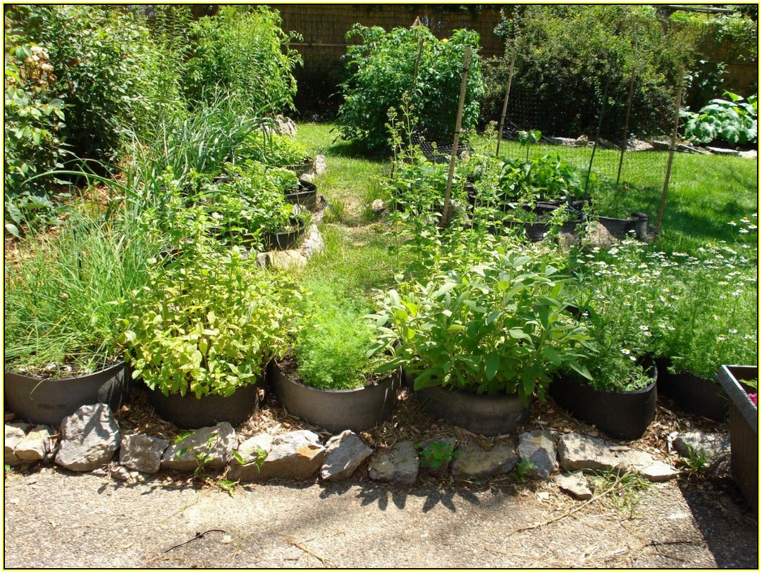 Herb Garden Planters