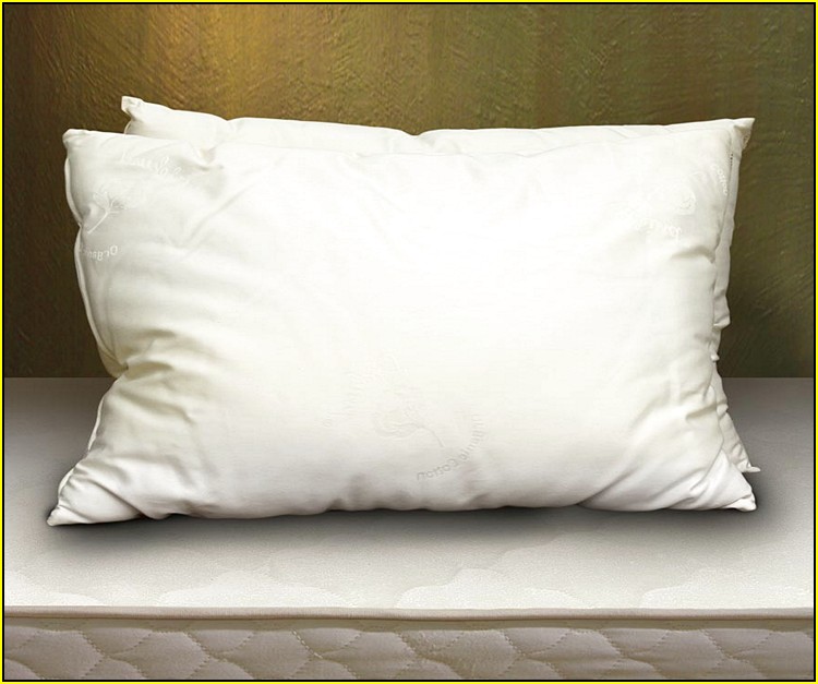 Organic Buckwheat Pillow Made In Usa