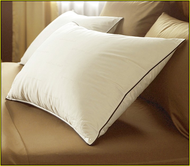 Pillows For Back Sleepers