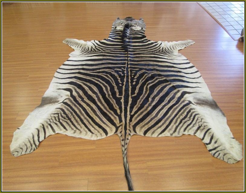Real Zebra Skin Rug