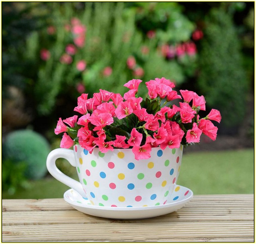 Teacup Flower Pot