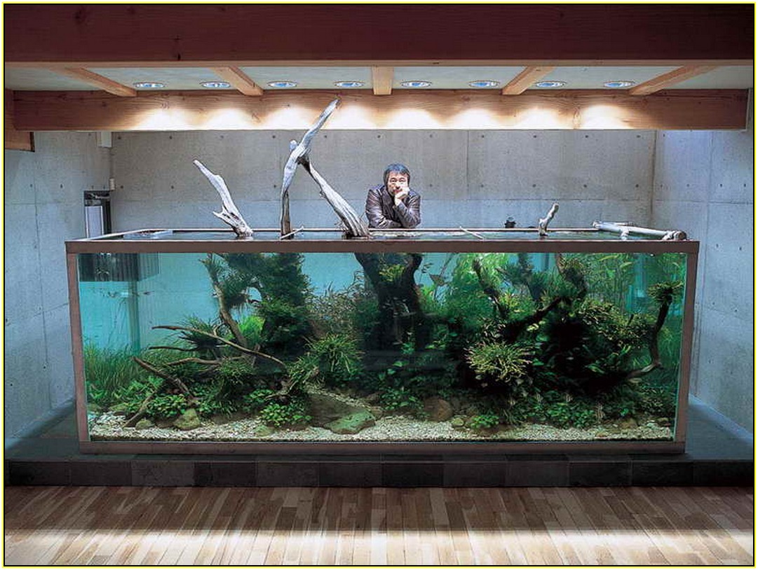 Unique Fish Tank