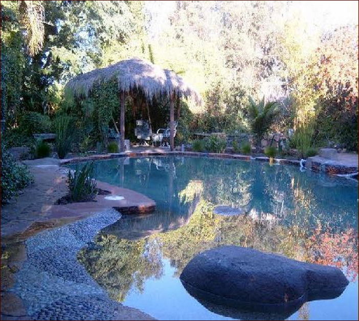 Natural Swiming Pool Designs A Guide For Building