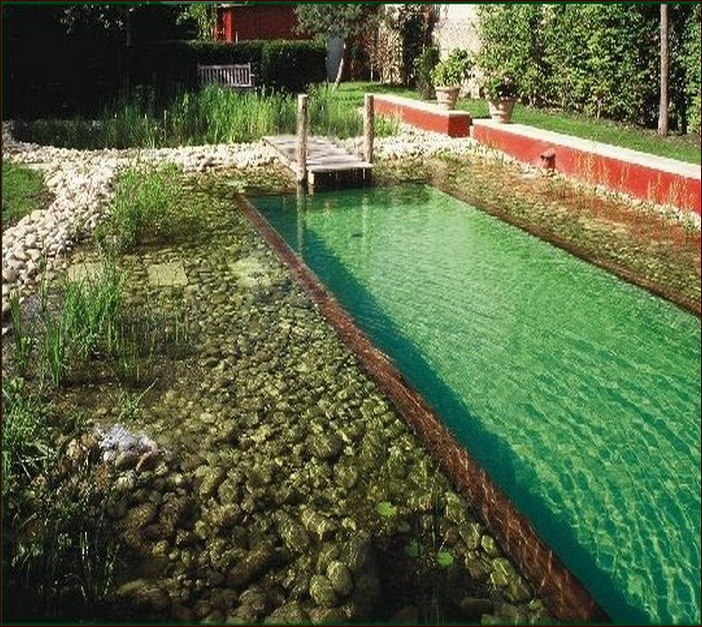 Natural Swiming Pool Designs Diy