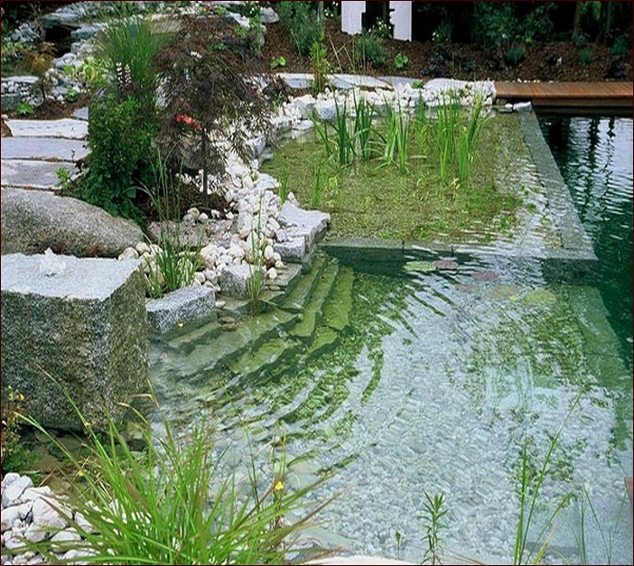 Natural Swiming Pool Designs Images