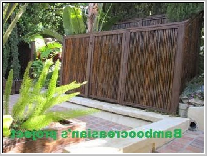 Bamboo Fence Roll