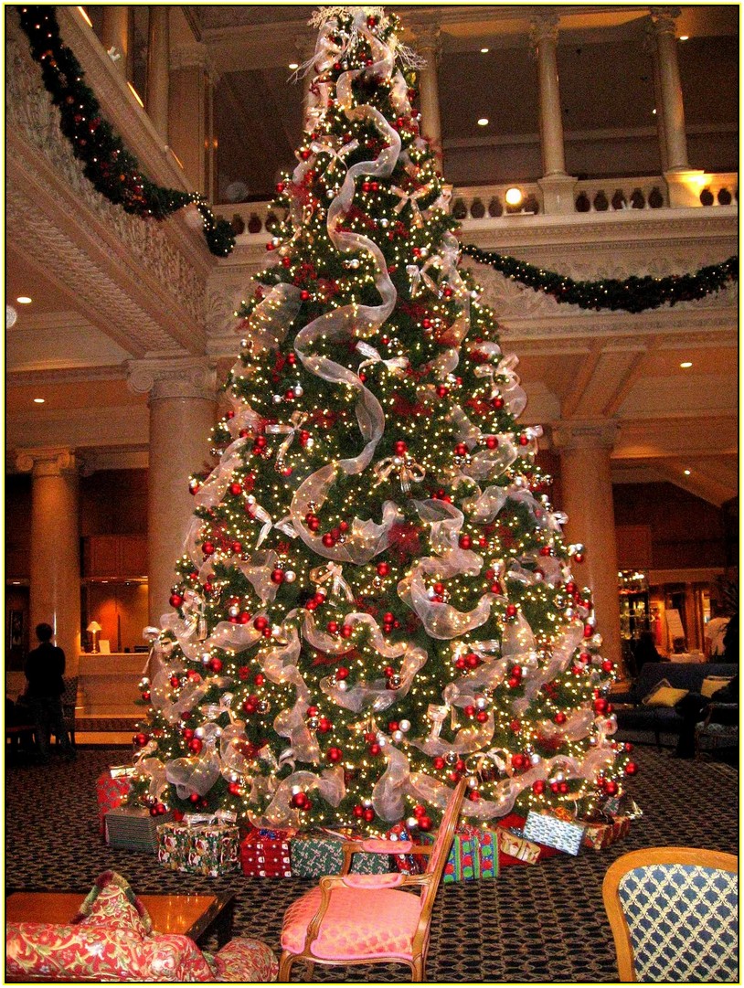 Beautiful Decorated Christmas Trees