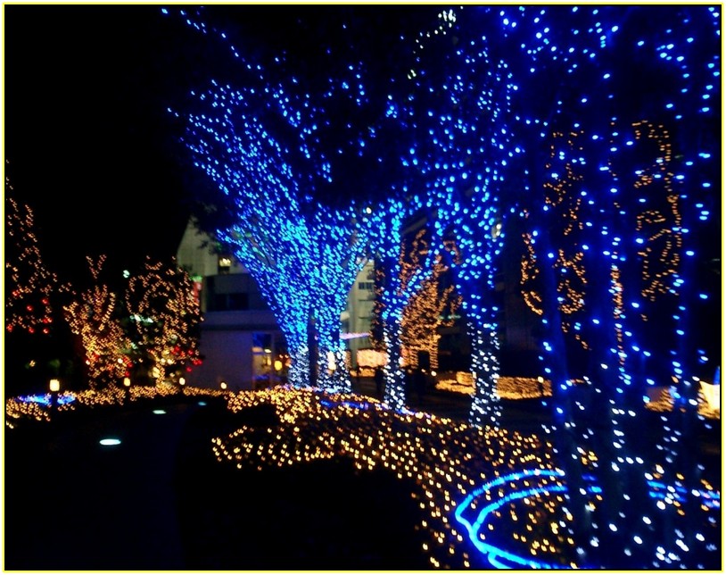 Blue Led Outdoor Christmas Lights