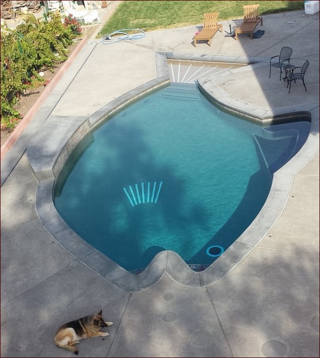 Build A Design Swiming Pool Design Usa