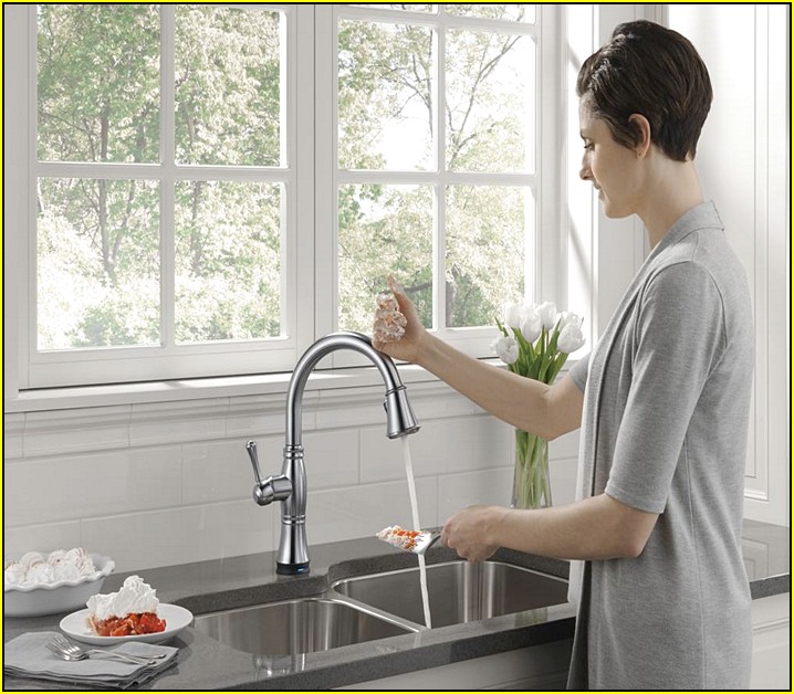 Delta Cassidy Kitchen Faucet Touch