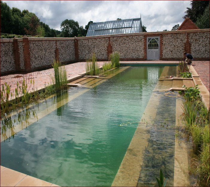 Diy Natural Swiming Pool Design