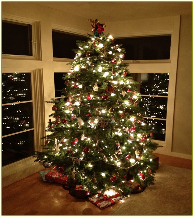 Led Indoor Christmas Tree Lights