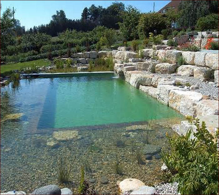 Natural Swiming Pool Design