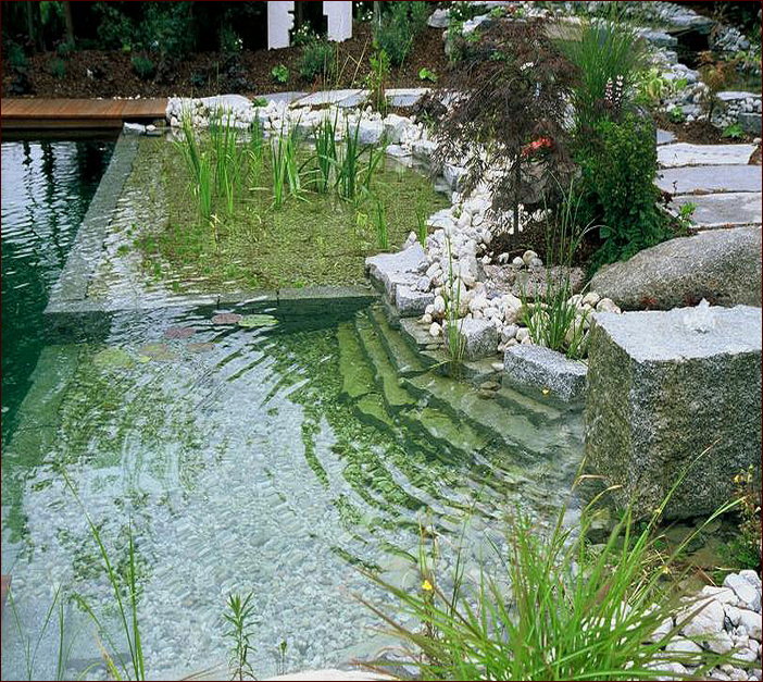 Natural Swiming Pool Designs