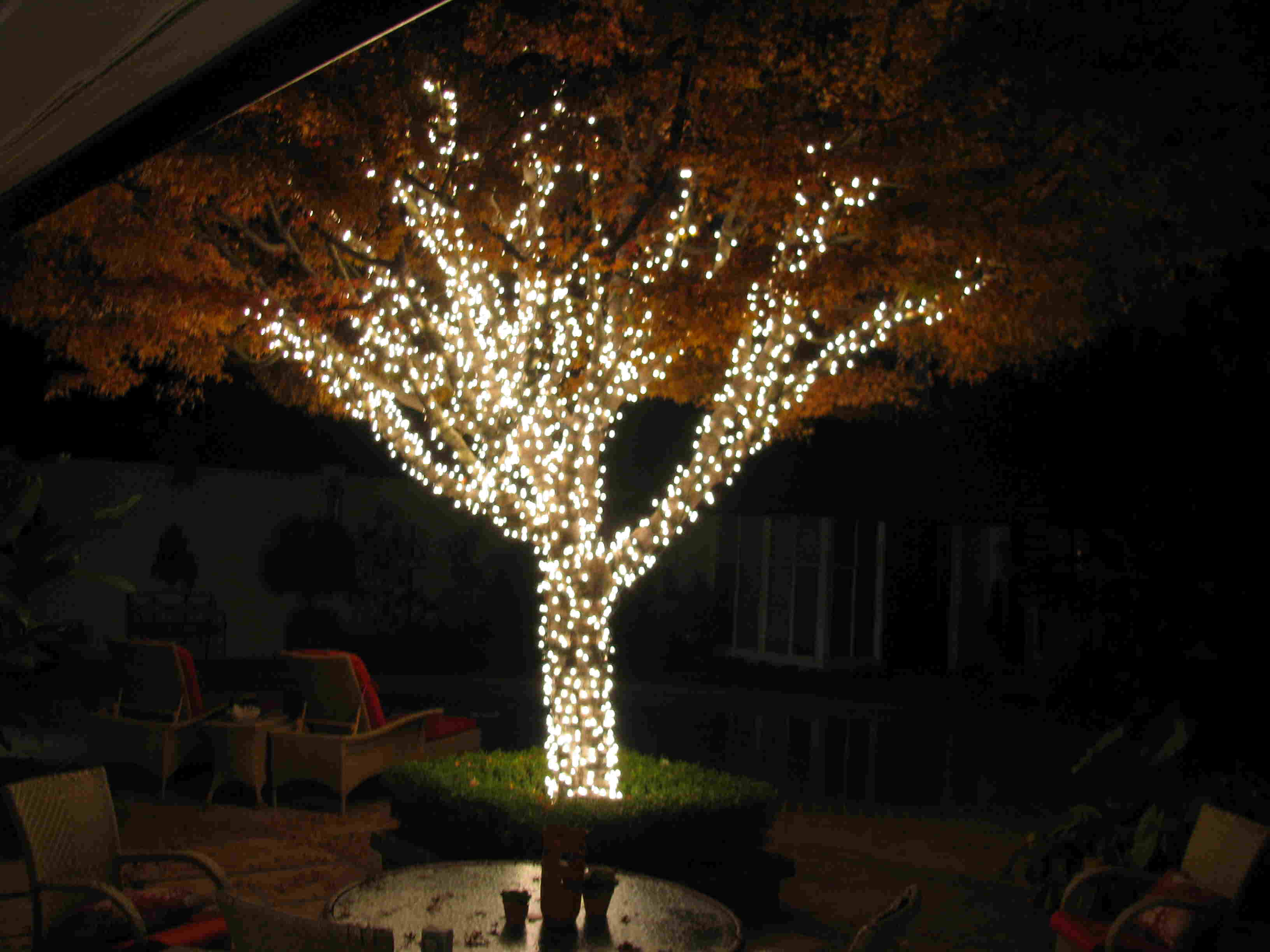 Outdoor Solar String Lights For Trees