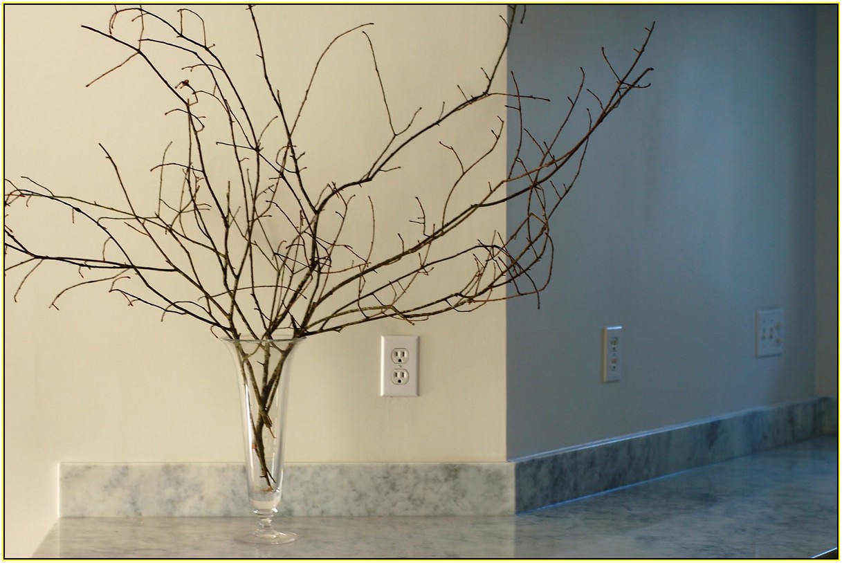 Tree Branches For Decoration
