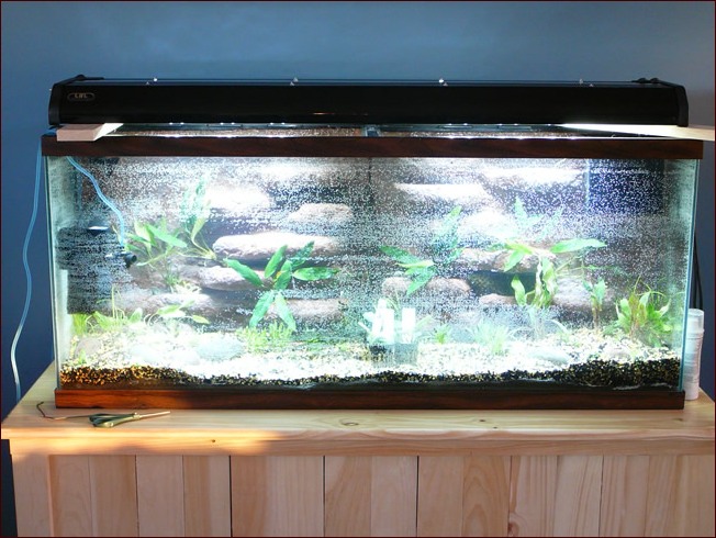 Aquarium Led Lighting Diy