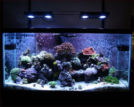 Aquarium Led Lighting Kits