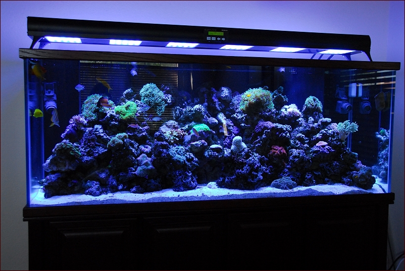 Aquarium Led Lighting Planted Tank