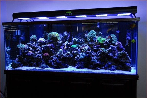 Led Lighting Strips For Aquariums