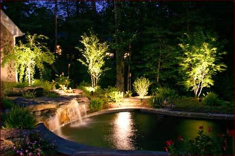 Pool Landscape Lighting Ideas