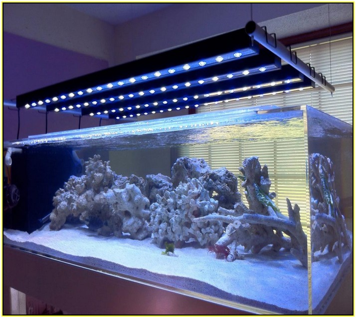 Aquarium Led Lighting