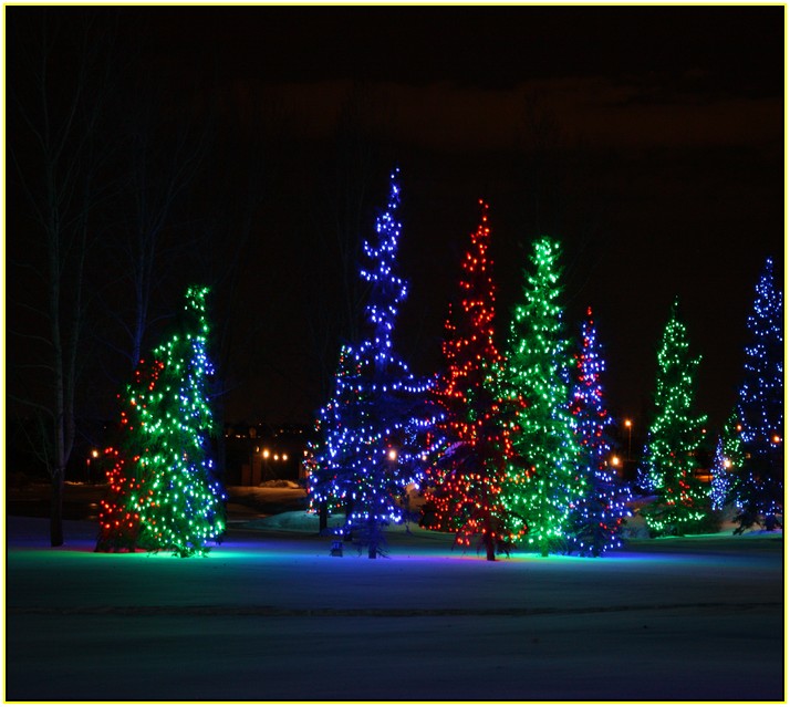 Christmas Rope Lights Displays