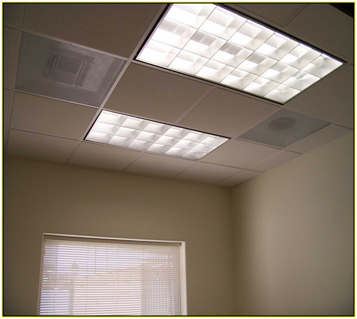 Fluorescent Light Covers Office