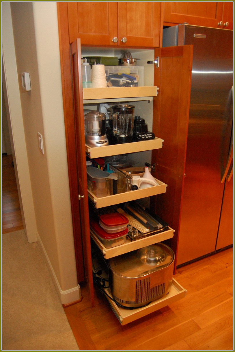 Kitchen Cabinet Organizers Pull Out