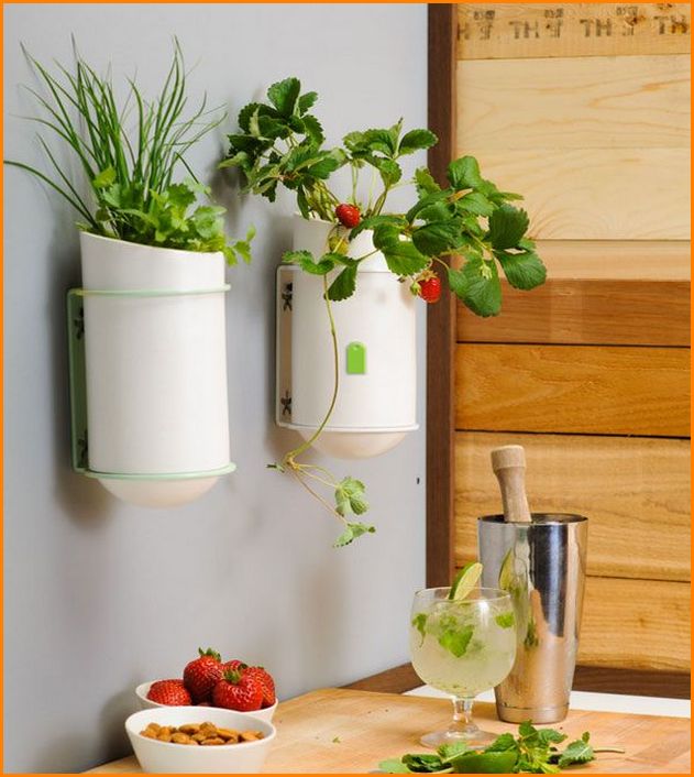 Kitchen Wall Decor Diy Inspiration