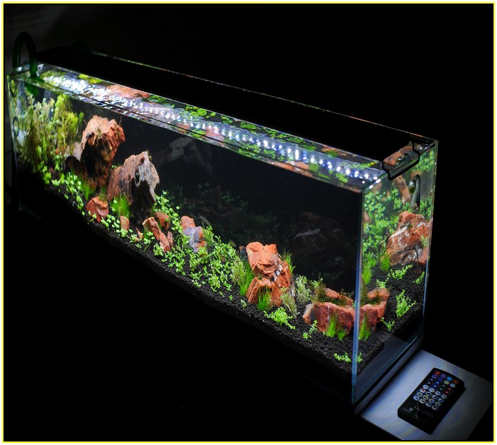 Led Aquarium Lighting Freshwater Planted