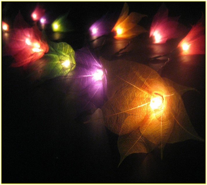 Multi Coloured Flower Fairy Lights