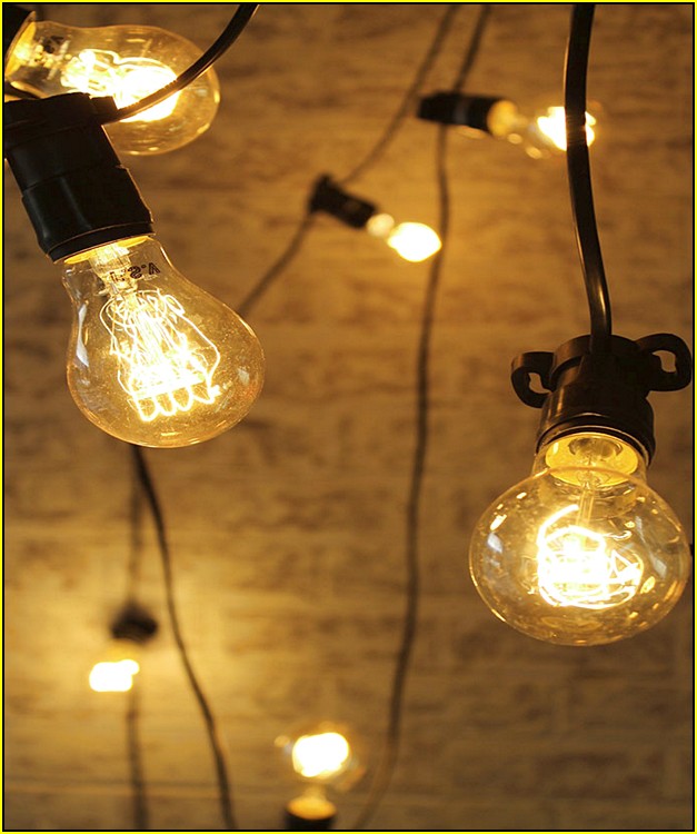 Old Fashioned Light Bulbs String
