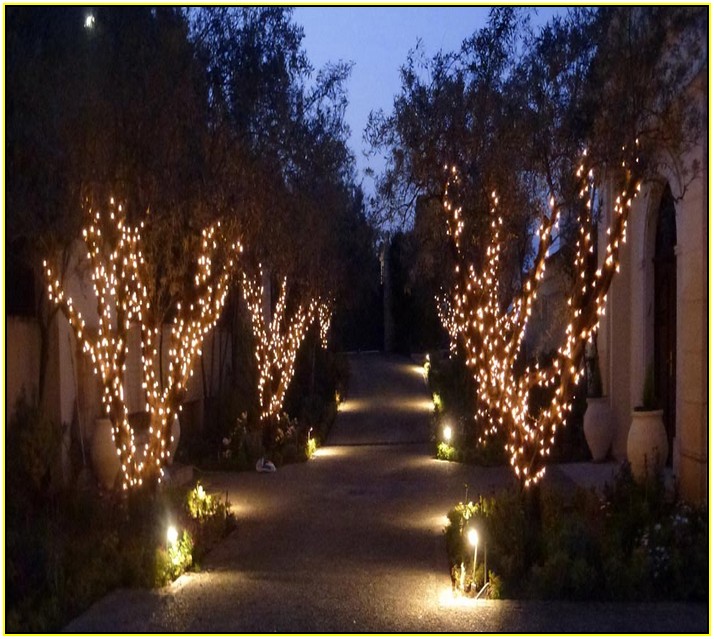 Outside Fairy Lights For Trees