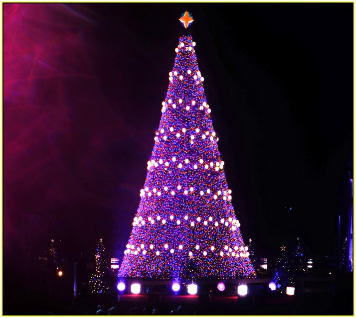 Purple Xmas Tree Lights