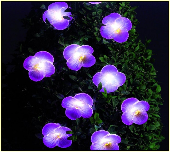 Solar Powered Garden Lights Flowers