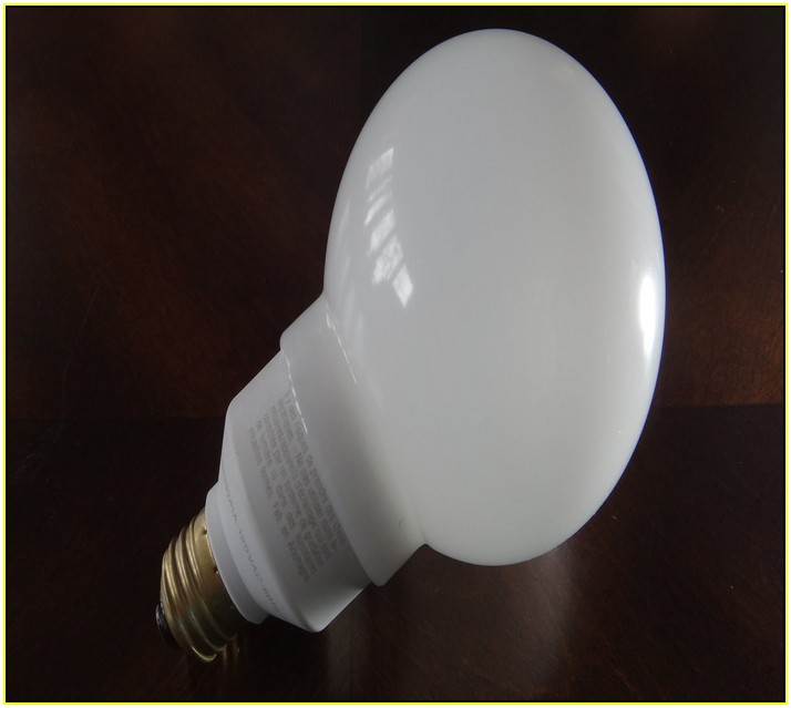 Sylvania Globe Light Bulbs