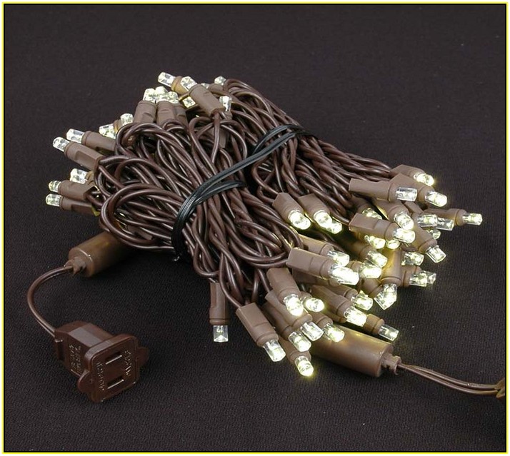 Warm White Led Christmas Lights Brown Wire