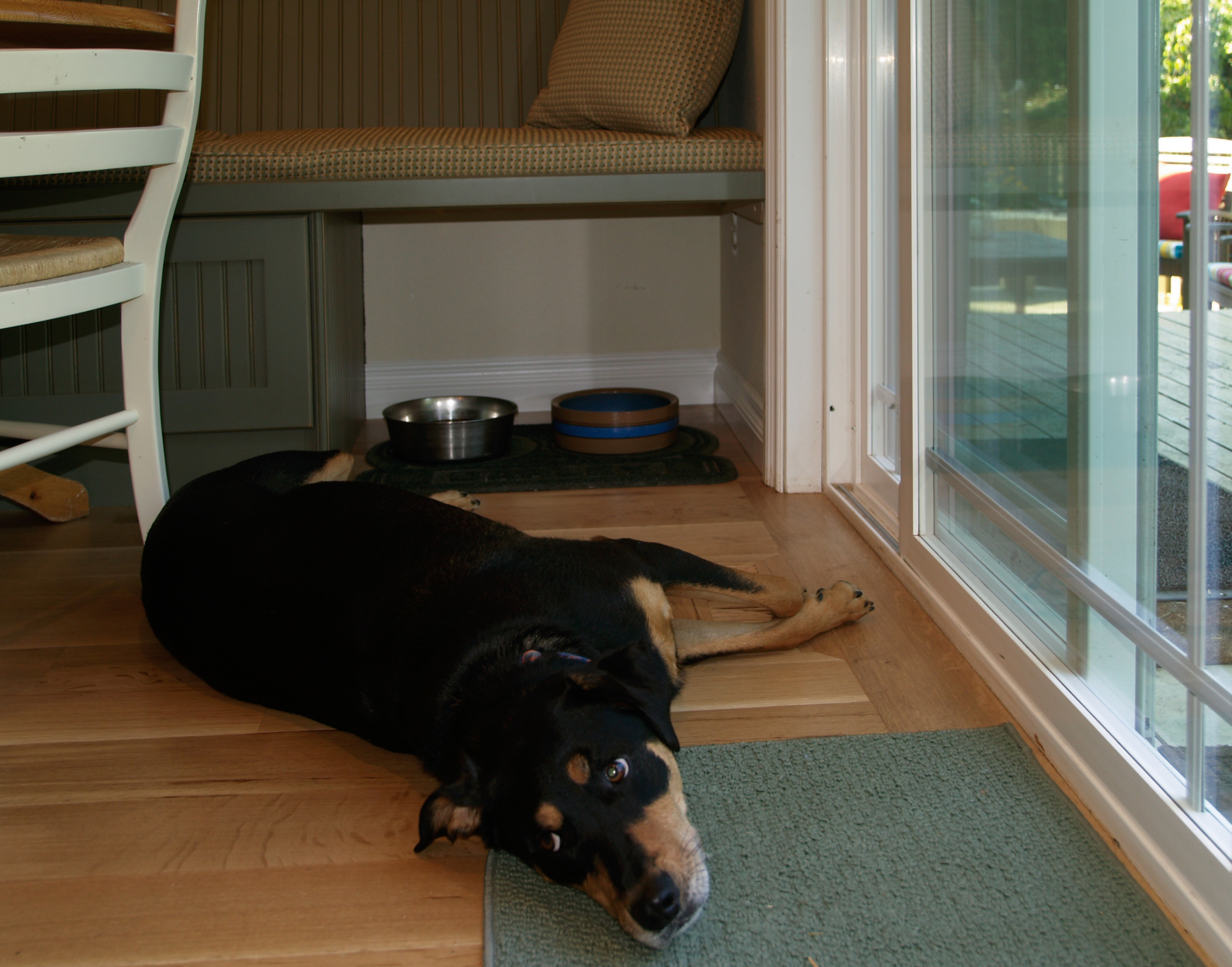 Built-in breakfast nook with beadboard paneling, cushioned bench seating, hardwood floors, and designated pet feeding area near sliding doors.