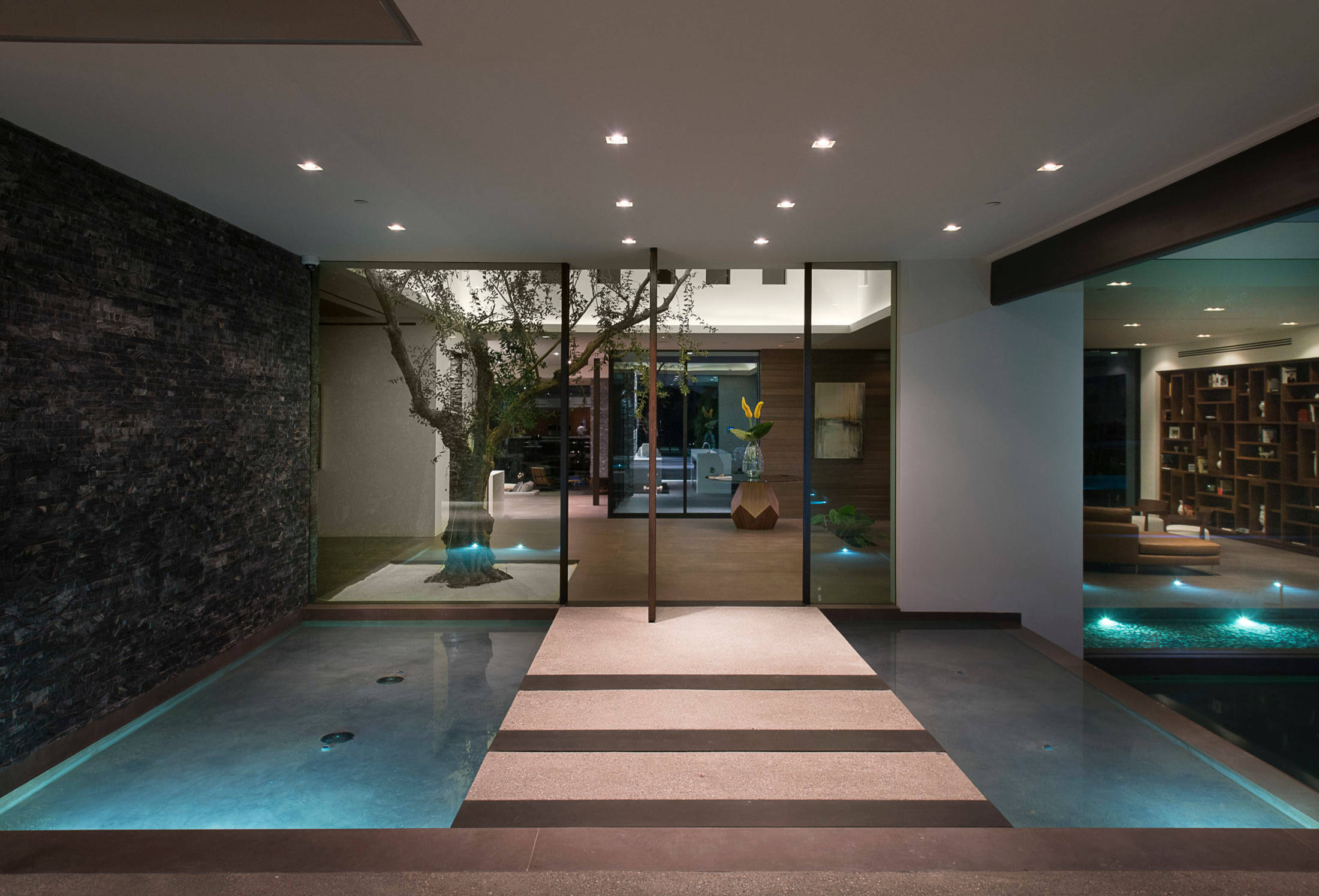 Modern entryway with floating concrete steps, underwater lighting, glass walls, and indoor olive tree feature.